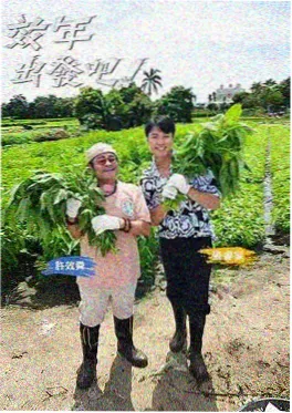四格人生 短剧剧照
